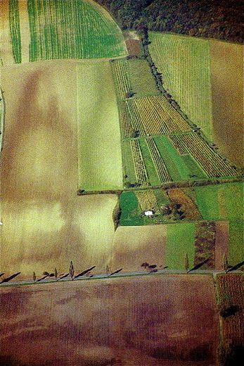 Sizilien Landwirtschaft