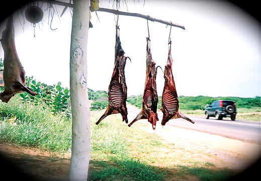 Verkauf von Schaf-/Ziegenhälften an einer Landstraße in Venezuela