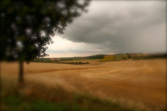 Spätsommerliche Regenstimmung im Weinviertel, Niederösterreich