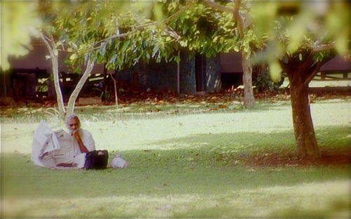 Sri Lanka: Lesender im Park