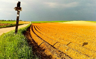 Feld im Frühjahr vor einem Gewitter Feld im Frühjahr vor einem Gewitter