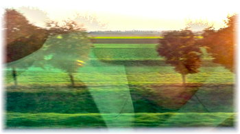 Tullner Feld: vorbeiziehend Landschaft
