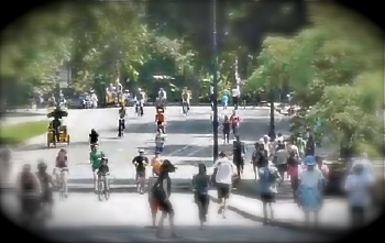 new york central park läufer new york central park läufer